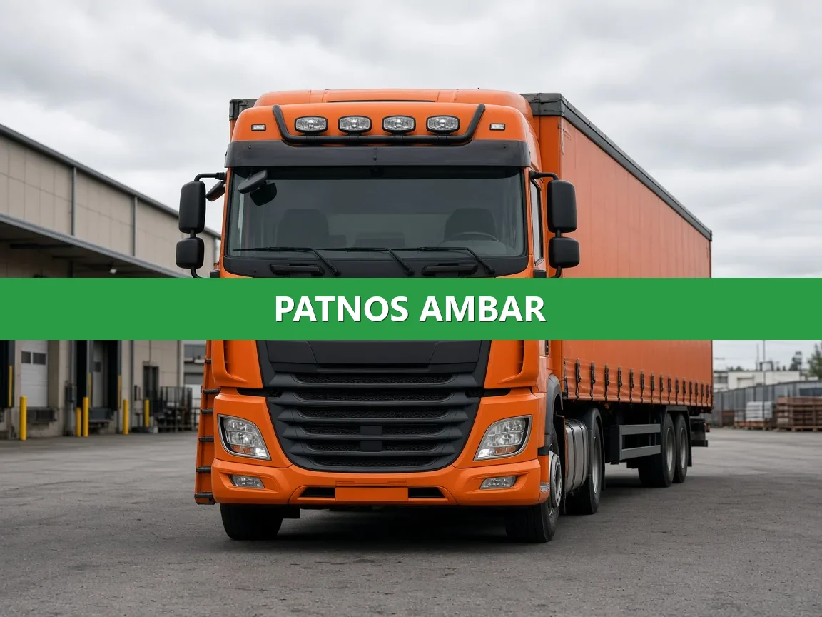 Patnos Ambar