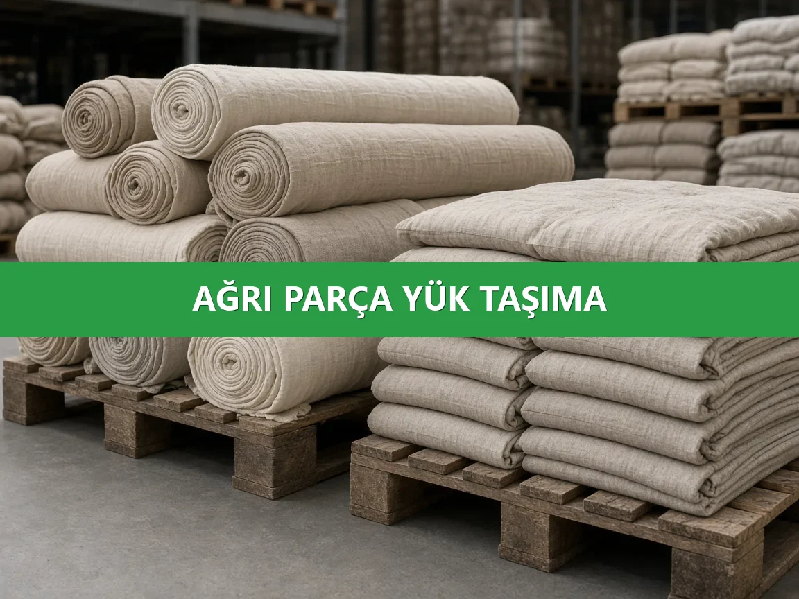 Ağrı Parça Yük Taşıma